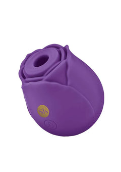 The Petal Air Massager